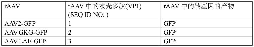 具有经修饰的AAV衣壳多肽的重组腺相关病毒的制作方法