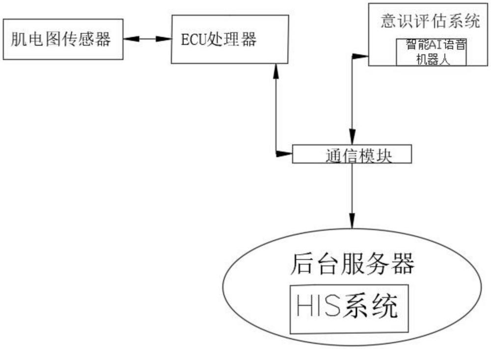 基于身体约束决策模型的约束决策系统和方法