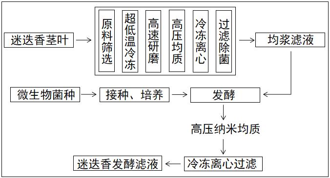 一种迷迭香发酵滤液的制备方法和应用