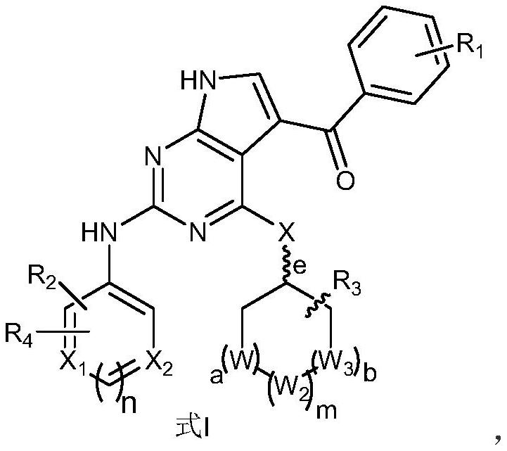 苯甲酰基吡咯并嘧啶类衍生物及其用途和制备方法与流程