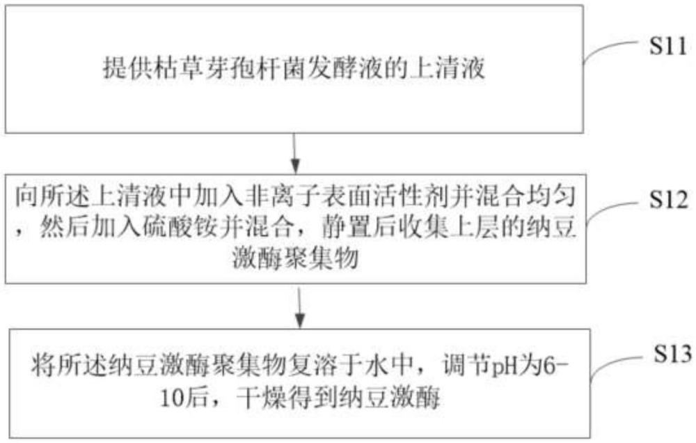 一种纳豆激酶及其制备方法与流程