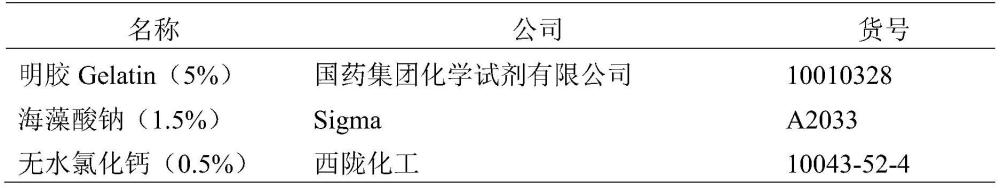 一种3D生物打印制备的肝小叶模型及其构建方法和应用与流程