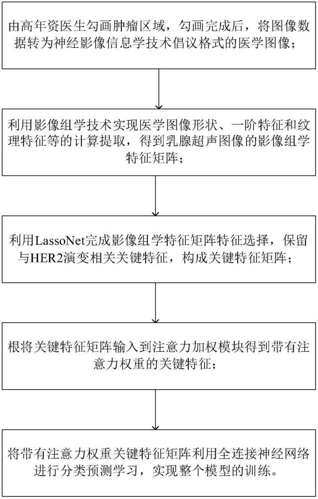 一种基于影像组学注意力网络的HER2状态改变预测方法