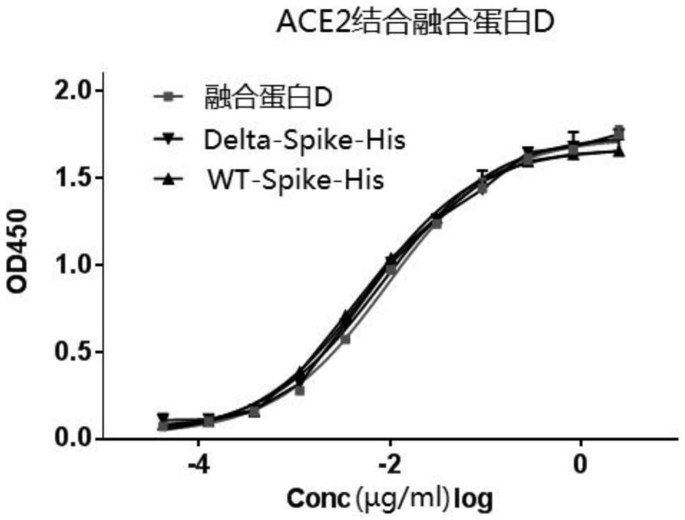 一种冠状病毒多价疫苗及其应用的制作方法