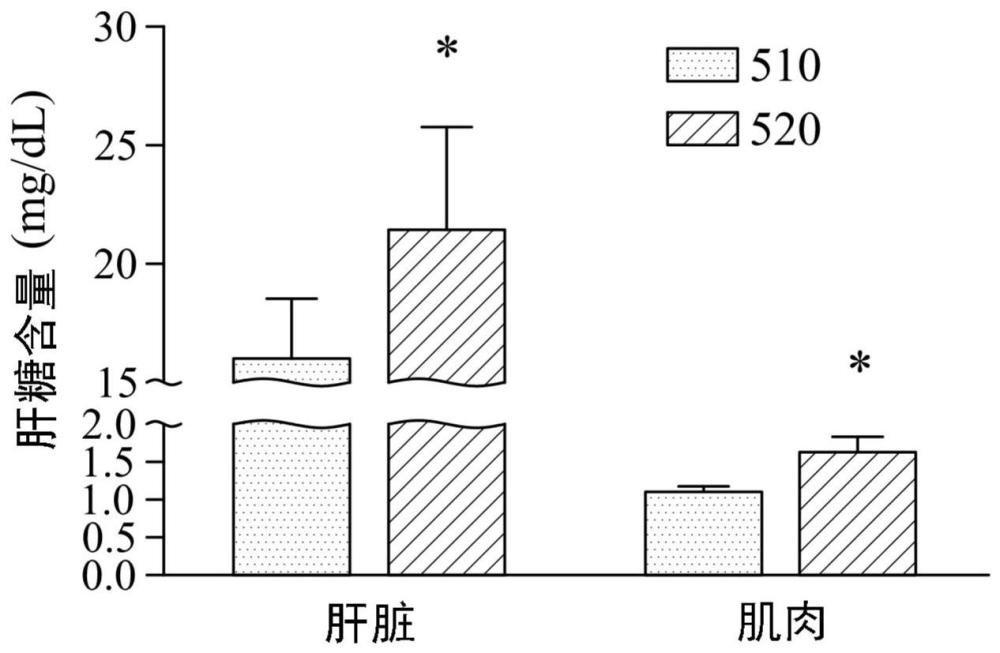 桑黄GKPl之萃取物用于制备提升运动表现及降低运动疲劳的组合物之用途的制作方法