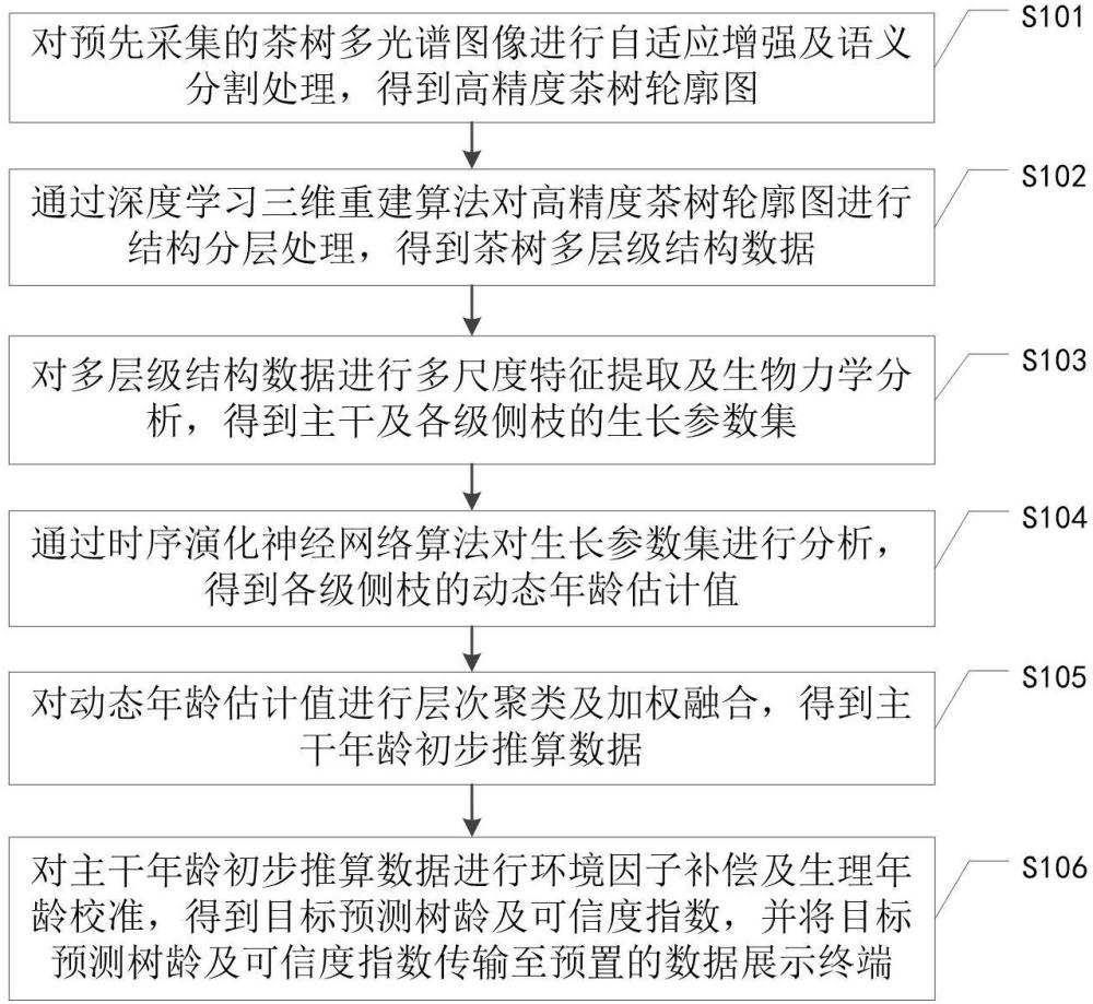 基于图像处理的茶树树龄分析方法及系统与流程