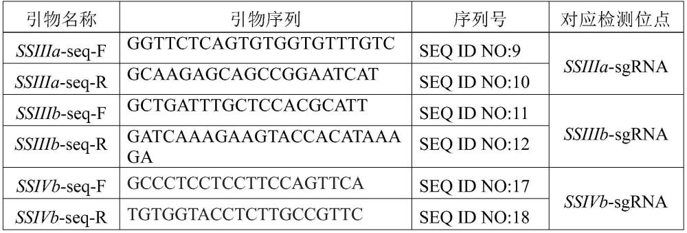 多基因编辑提高水稻抗性淀粉含量的方法