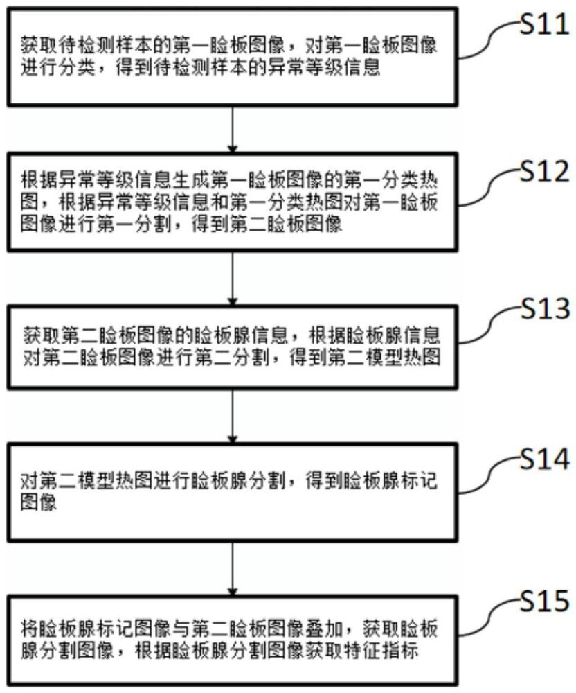 基于可解释性技术的睑板腺特征指标获取方法与流程