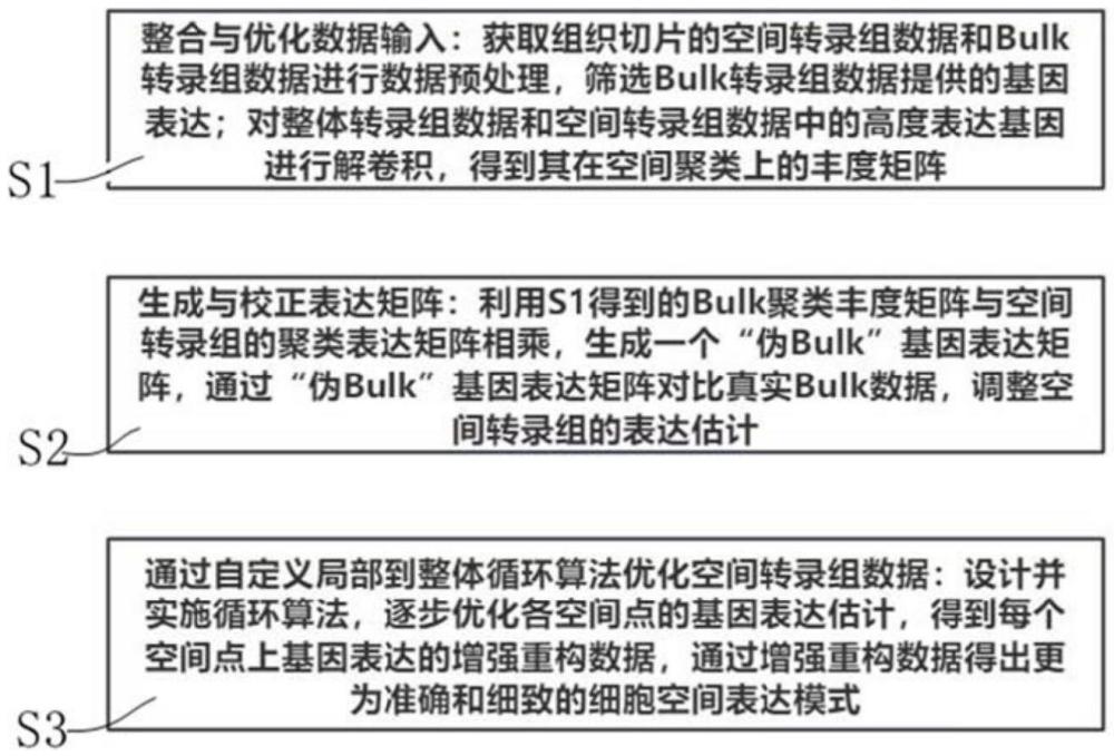 一种Bulk转录组数据增强空间基因表达分辨率的方法