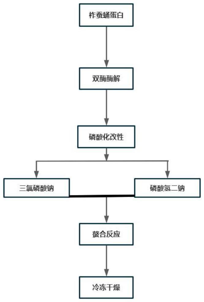 一种磷酸化改性柞蚕蛹多肽亚铁螯合物及其制备方法