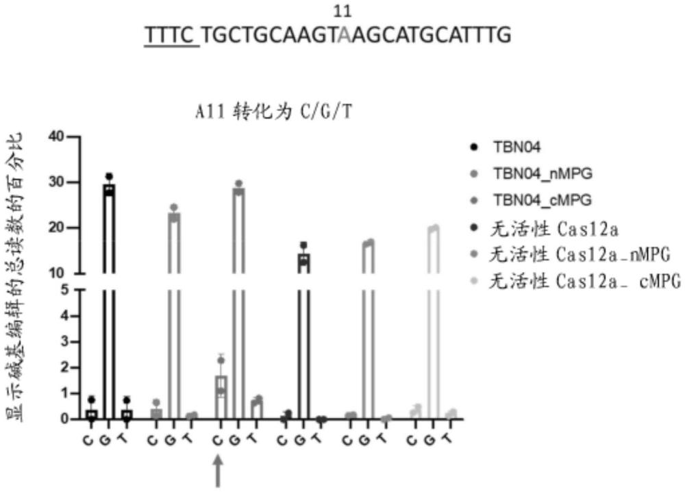 CAS12A核酸内切酶变体及使用方法与流程