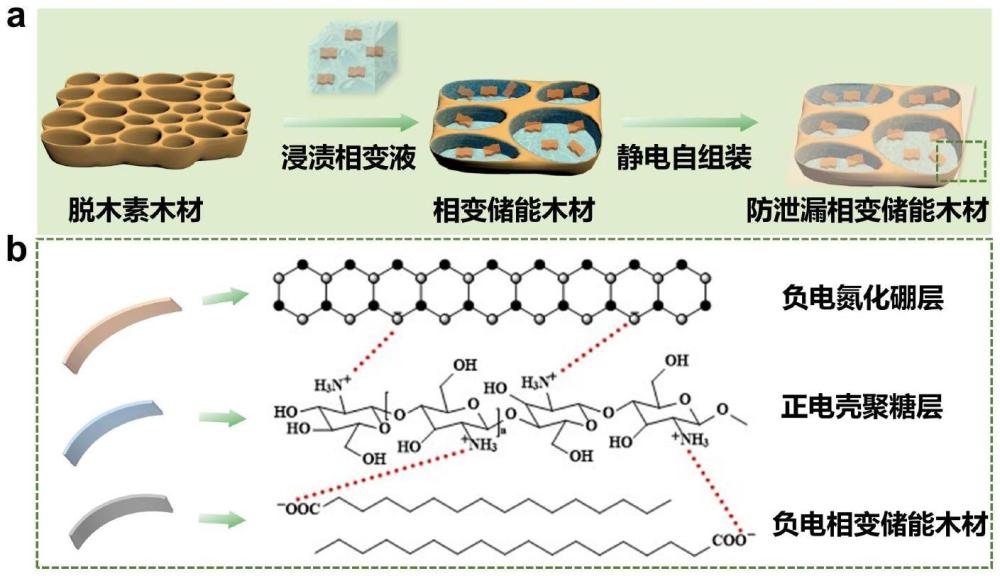 一种具有壳聚糖基保护层的防泄漏相变储能木材及其制备方法