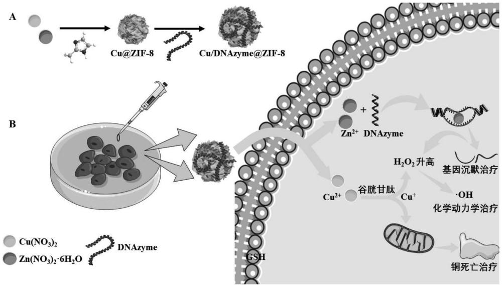 一种肿瘤微环境响应型铜掺杂沸石咪唑框架-8纳米载体及其制备方法和应用