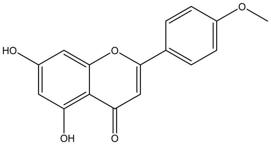 一种STING抑制剂金合欢素在制备治疗骨缺损的药物中的应用的制作方法