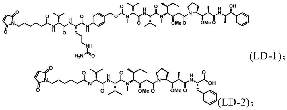 靶向组织因子的纳米抗体及偶联物的制备方法和用途