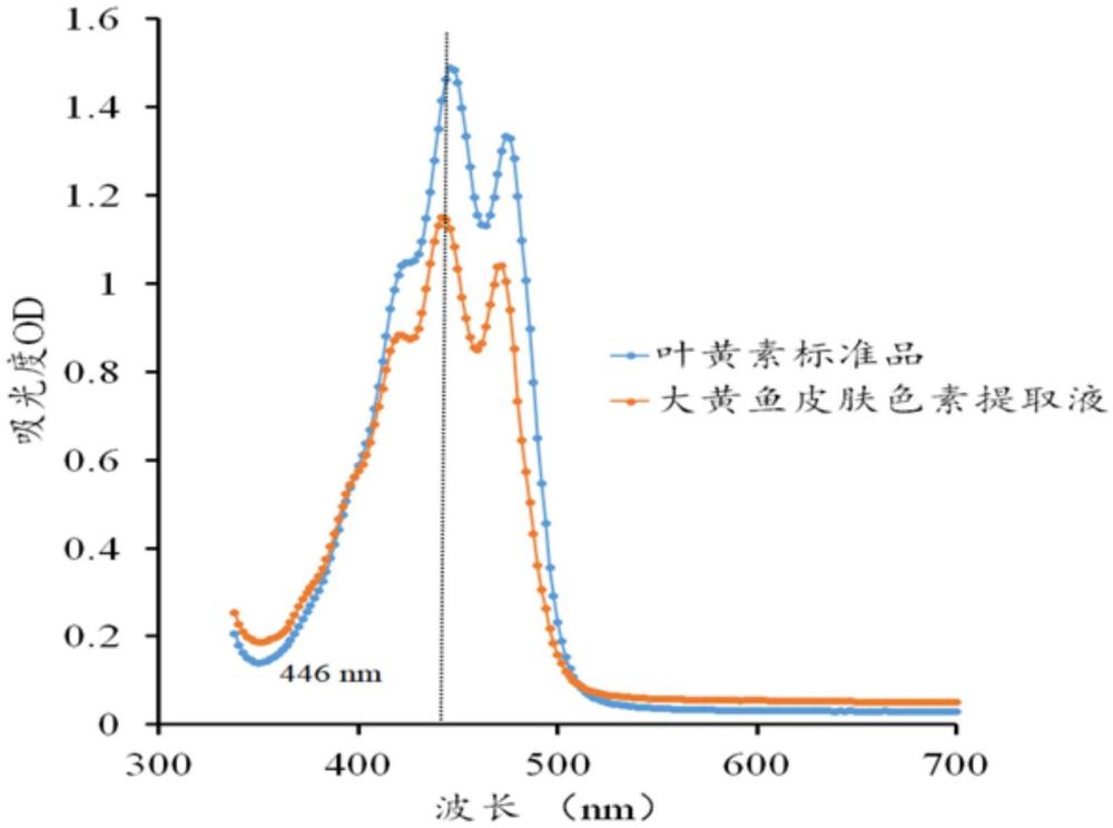 一种检测大黄鱼皮肤叶黄素的方法