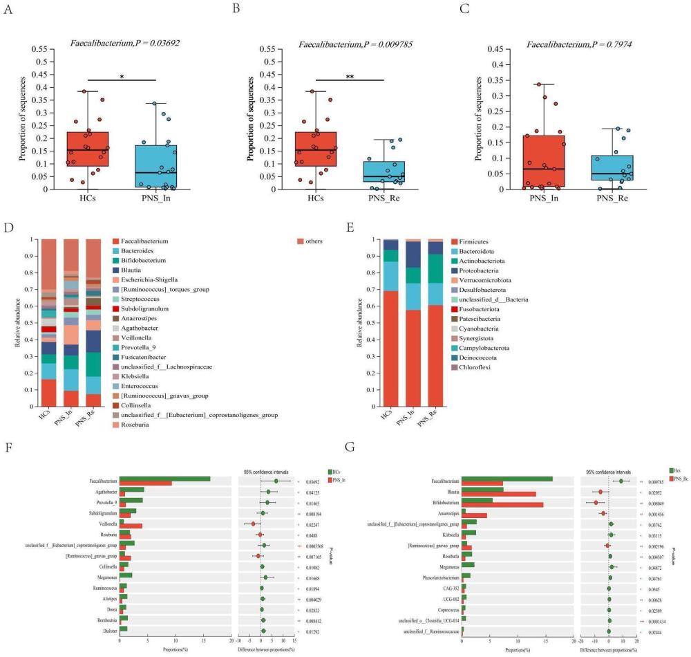 一种Faecalibacteriumprausnitzii在制备防治儿童原发性肾病综合征药物中的应用