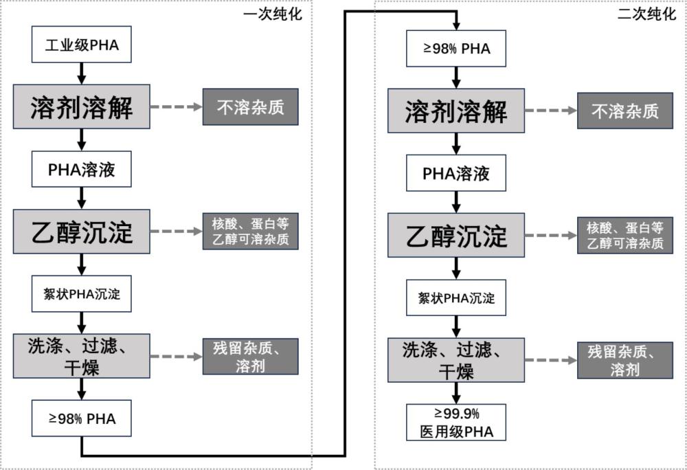 一种医用级PHA及其制备方法与流程