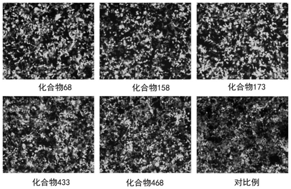 一种用于核酸的5’端加帽的含卤化合物及其应用的制作方法