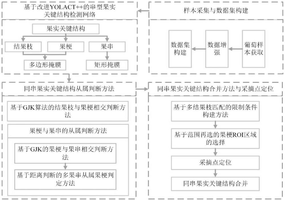 一种串型水果多目标的单一阶段实例分割算法与双分叉枝切割点定位方法与流程