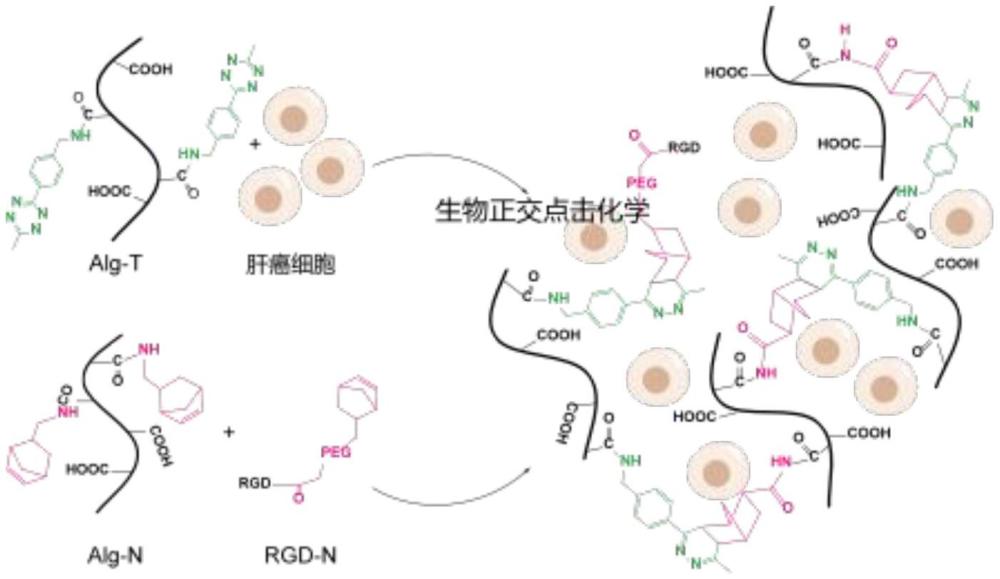 一种用于肝癌类器官培养的水凝胶及其应用