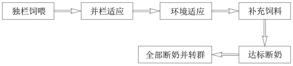 一种提高羔羊成活率的饲养方法与流程