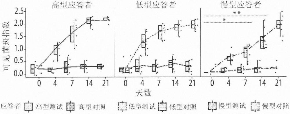 微生物诱导的炎症造成人口腔中不同健康组织的变化的制作方法