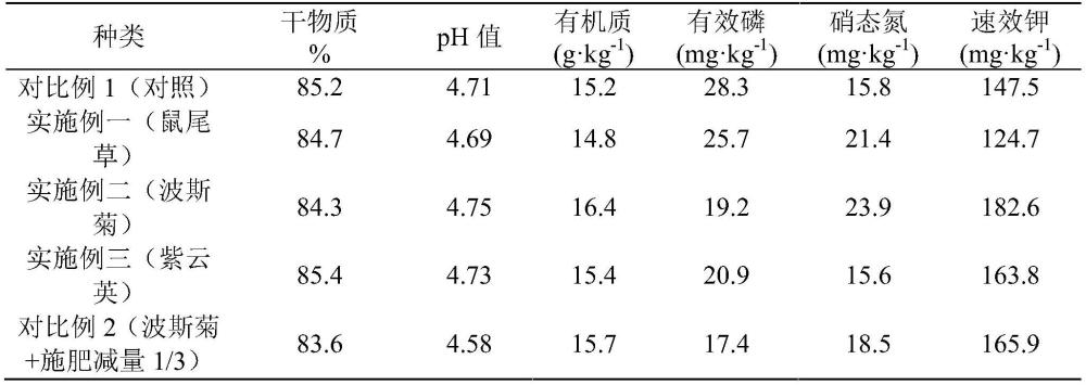 一种杨梅生草栽培方法及用途