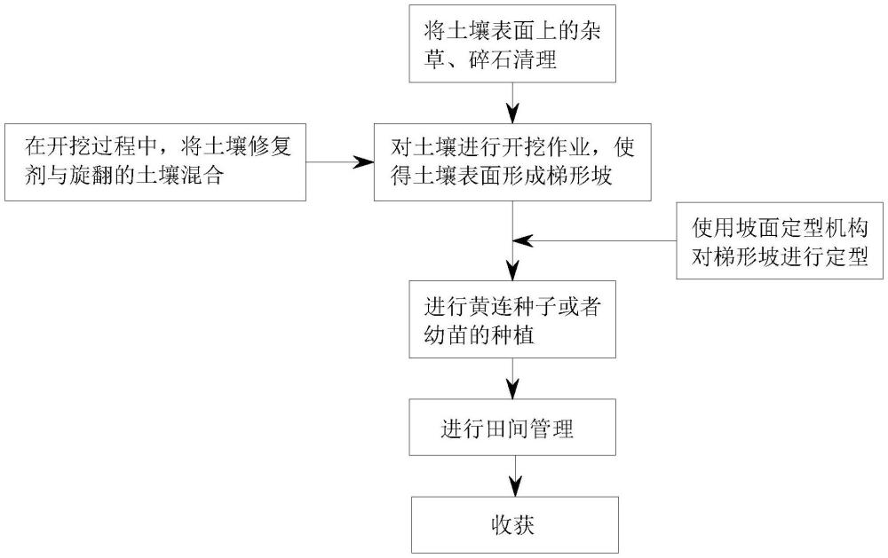 一种黄连连作障碍的综合治理方法与流程