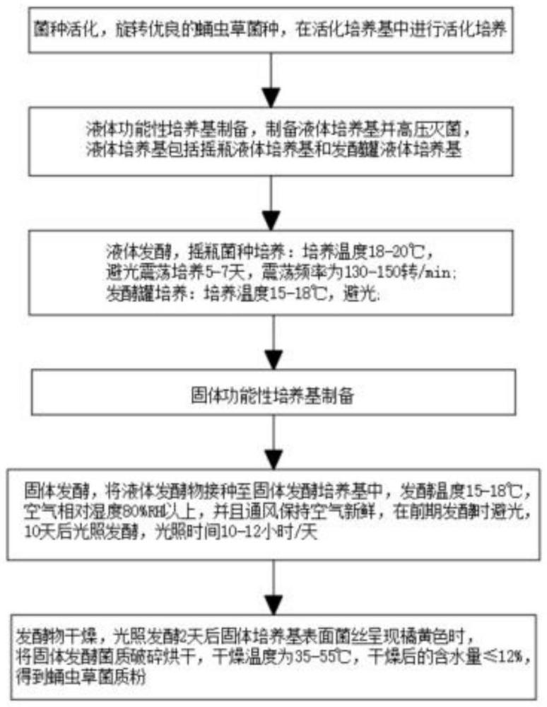 一种功能性蛹虫草菌质粉的制备方法及其配方与流程