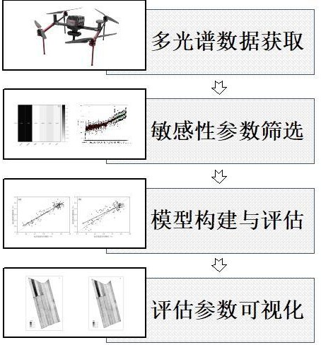 一种玉米冠层氮素营养参数无人机多光谱预测方法和系统