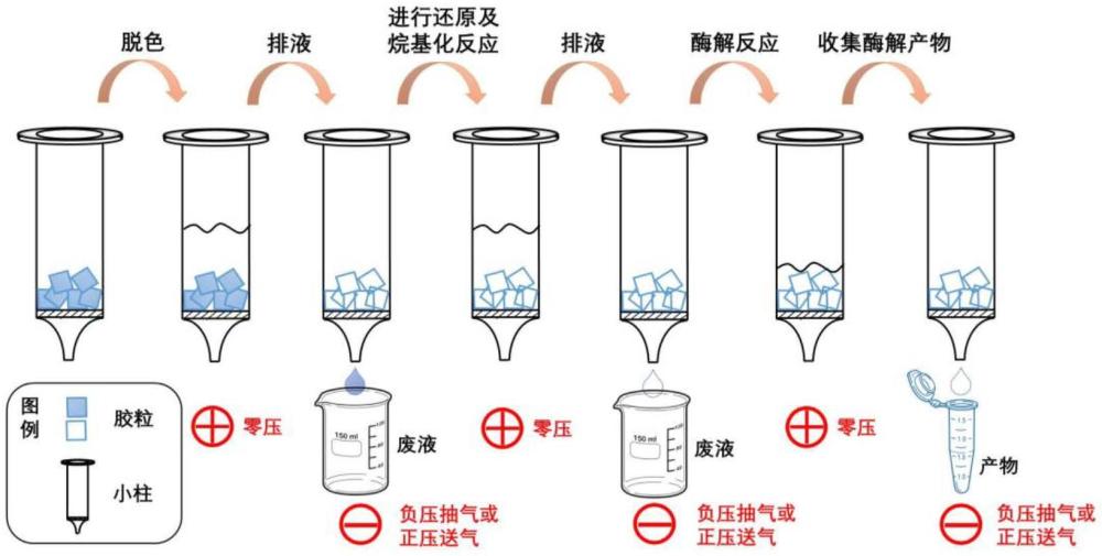 一种基于过滤原理的胶内蛋白酶解前处理方法