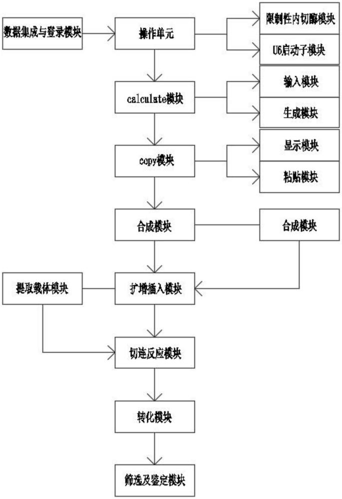 一种CRISPR质粒与引物设计系统