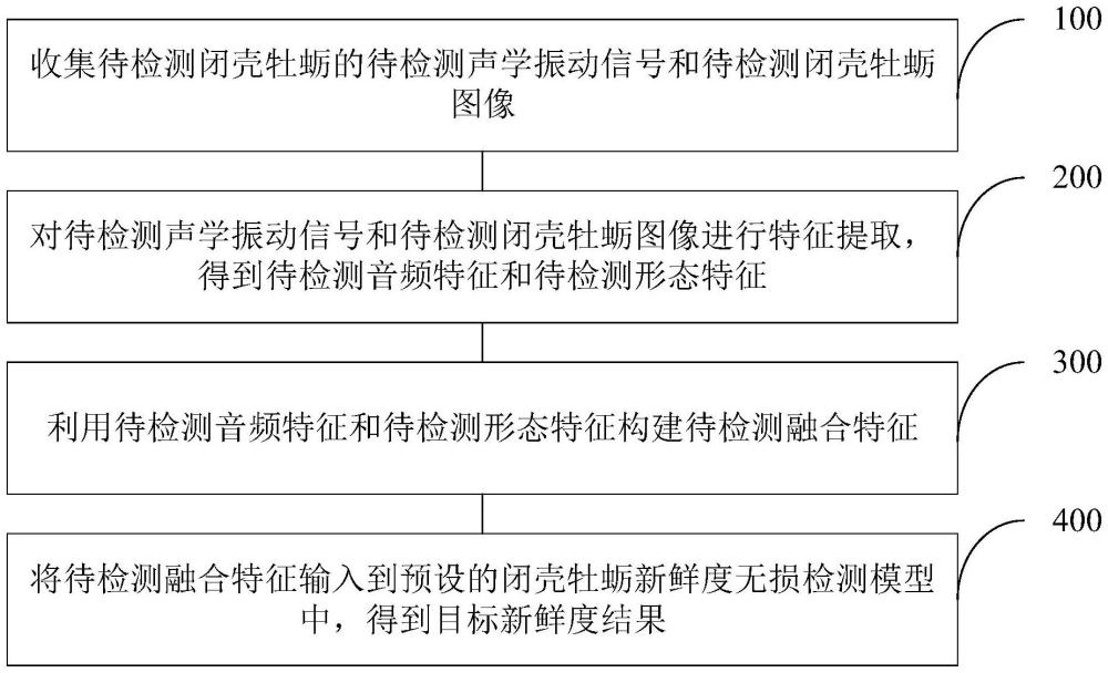 一种基于声学振动的闭壳牡蛎新鲜度无损检测方法及装置