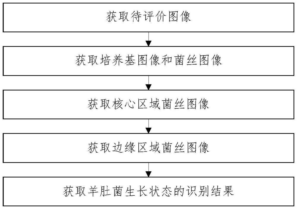 羊肚菌生长评价方法、装置、介质及产品