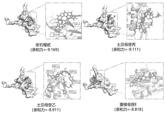 一种以PACT为靶点筛选的能够发挥广谱抗呼吸道病毒效果的土贝母苷化合物及其应用