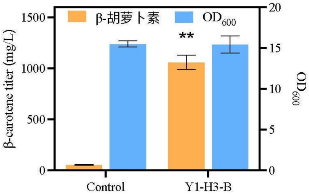 微生物细胞中红光调控系统及其制备方法、应用