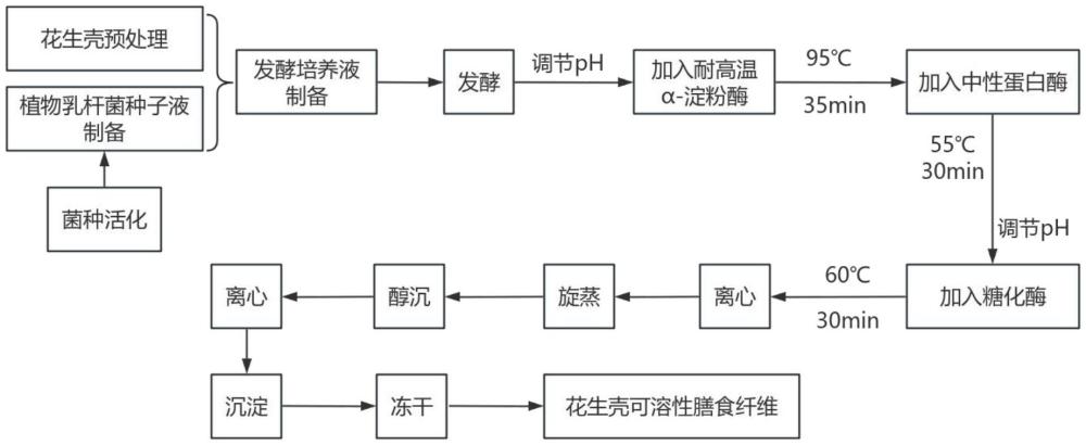 一种用植物乳杆菌发酵花生壳制备可溶性膳食纤维的方法