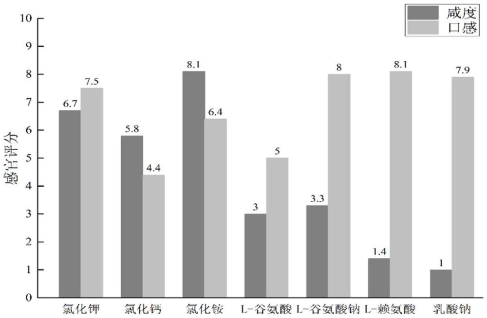 一种负载多酚类活性成分的功能性低钠调味盐