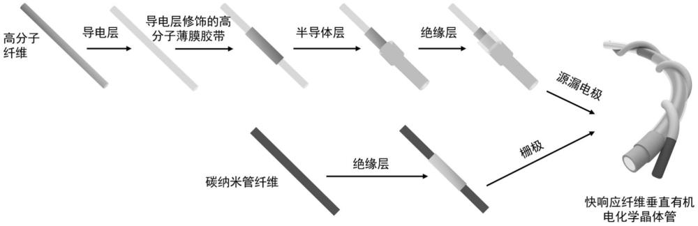 一种快响应纤维垂直有机电化学晶体管及其制备方法