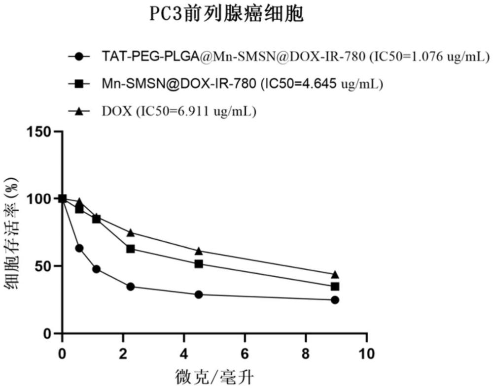 TAT-PEG-PLGA包裹的锰掺杂二氧化硅载药纳米颗粒及其制备与应用