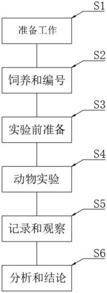 一种急性胰腺炎动物模型的构建方法和用途与流程