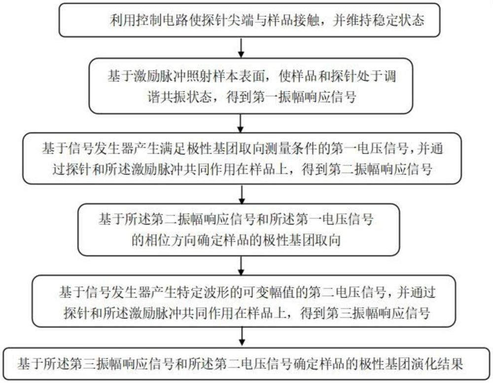 一种用于极性基团取向及演化的纳米红外测量方法及装置