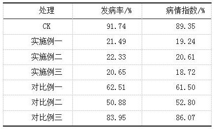 一种微生物有机肥及其制备方法与应用与流程