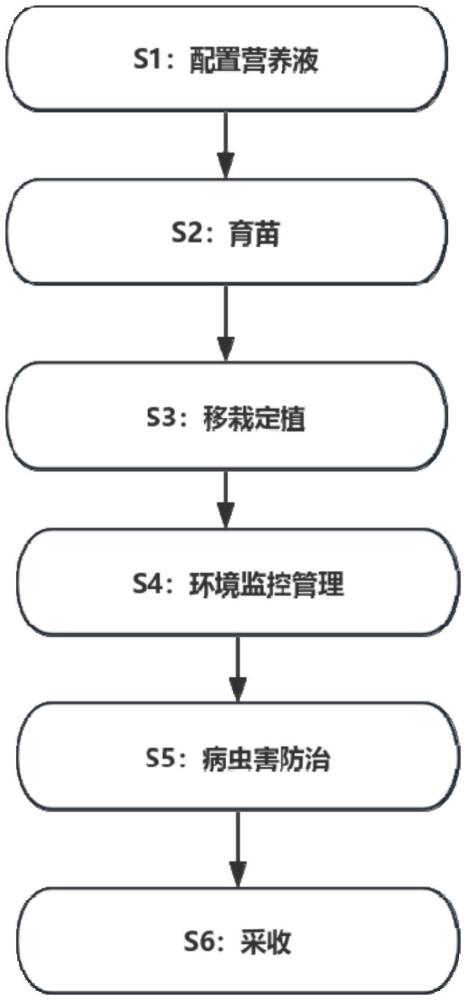 一种温室叶菜深层液体水培栽培系统及栽培方法