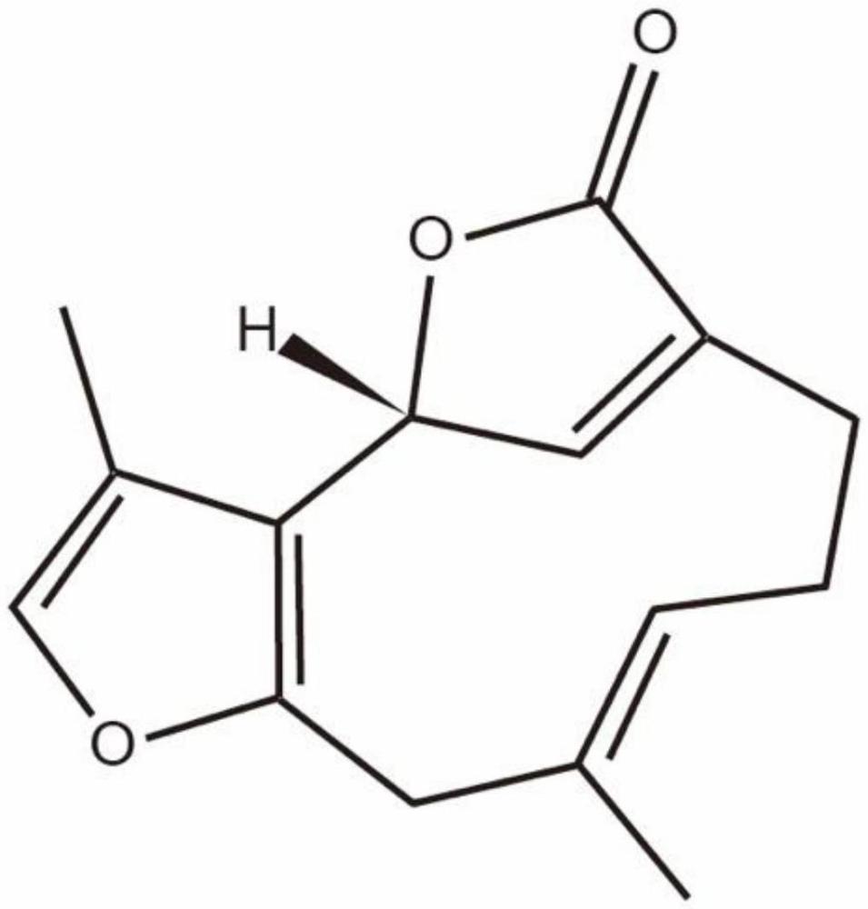 一种异乌药内脂作为内质网应激剂在制备胰腺癌抑制剂中的应用