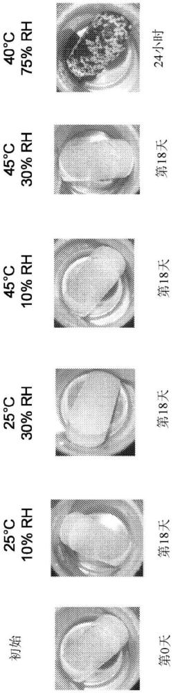 剂型内包衣和其应用的制作方法