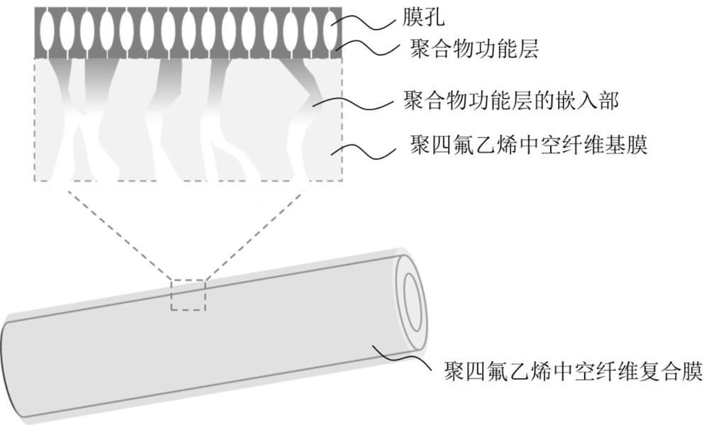 聚四氟乙烯中空纤维复合膜及其应用