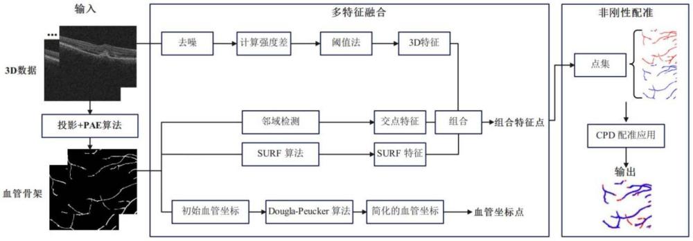 一种视网膜OCT图像中血管结构的特征提取方法和配准方法