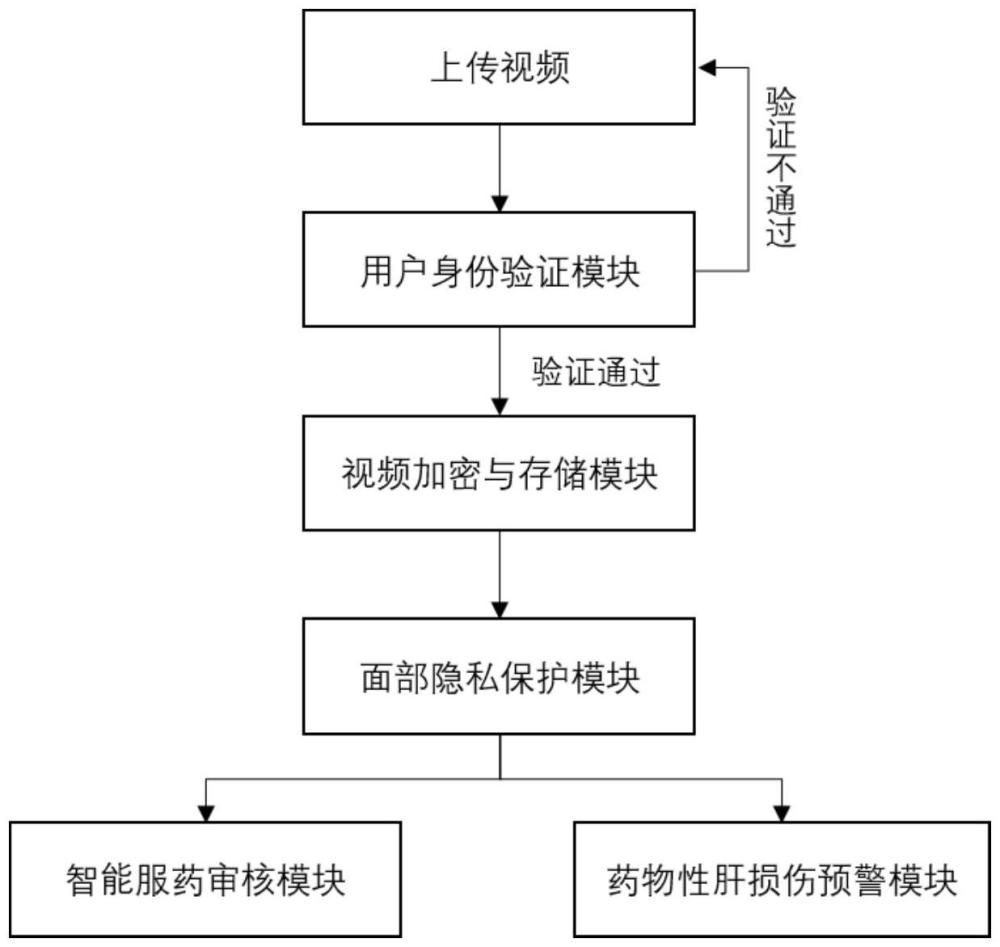 一种基于隐私保护的服药审核及肝损伤预警系统及方法与流程